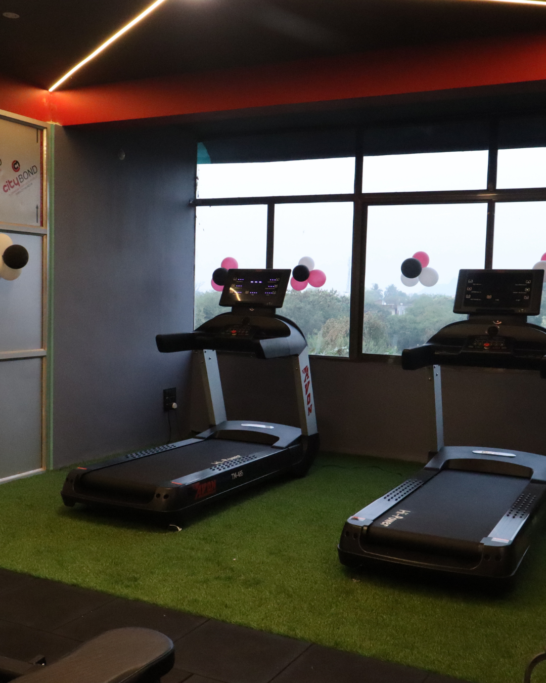 Livefit strength training session